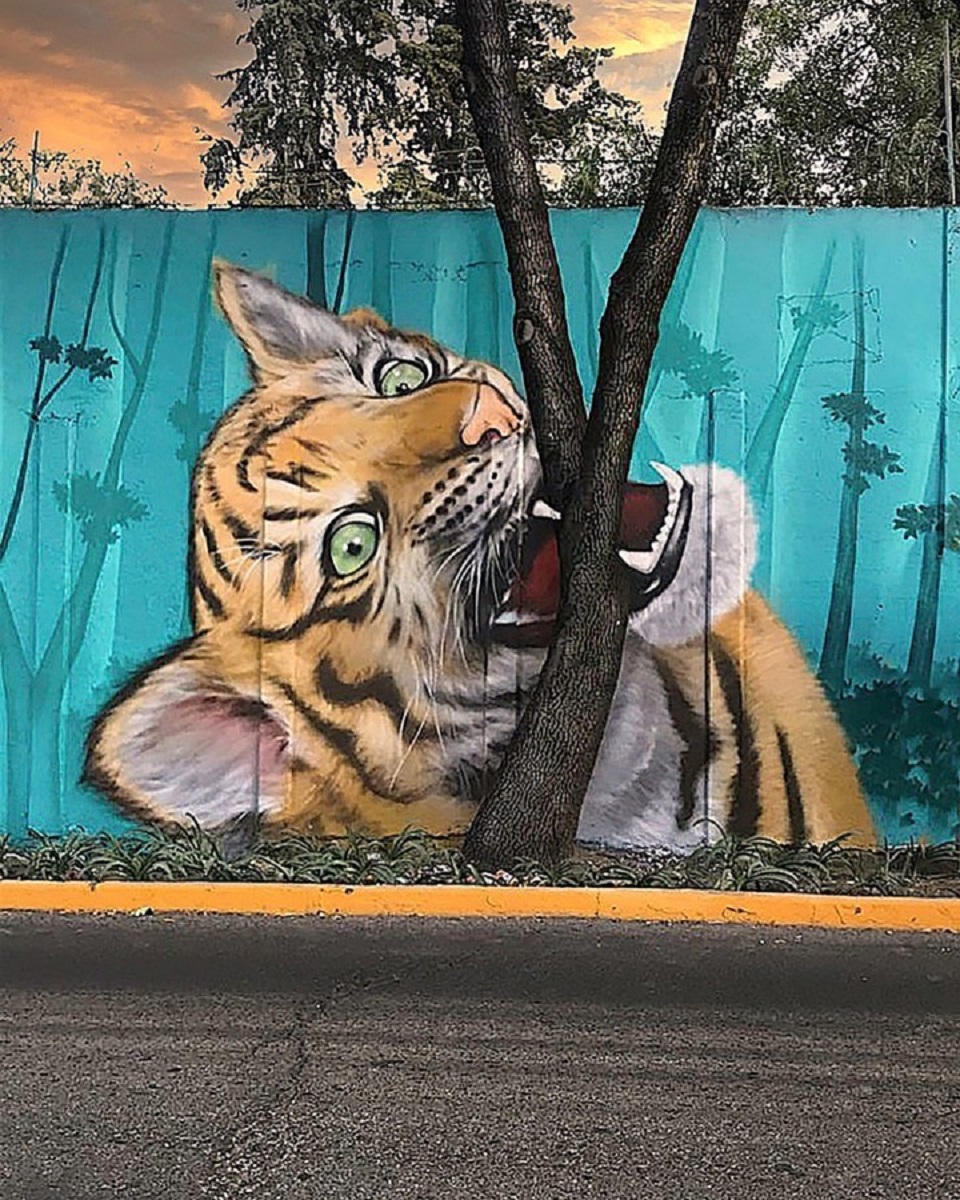 Detail The Tiger Graffiti Nomer 16