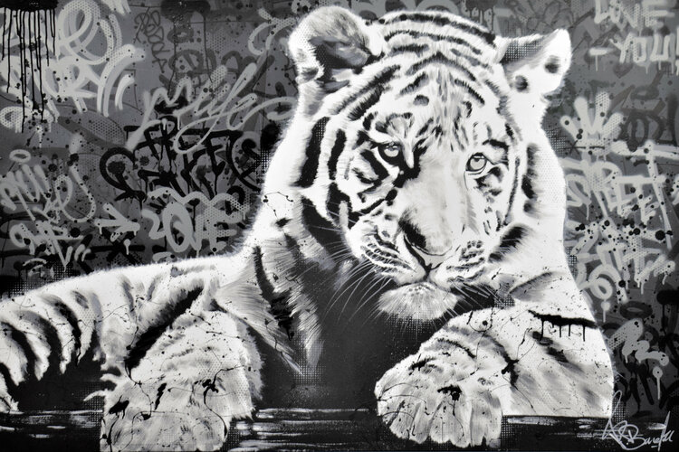 Detail The Tiger Graffiti Nomer 31