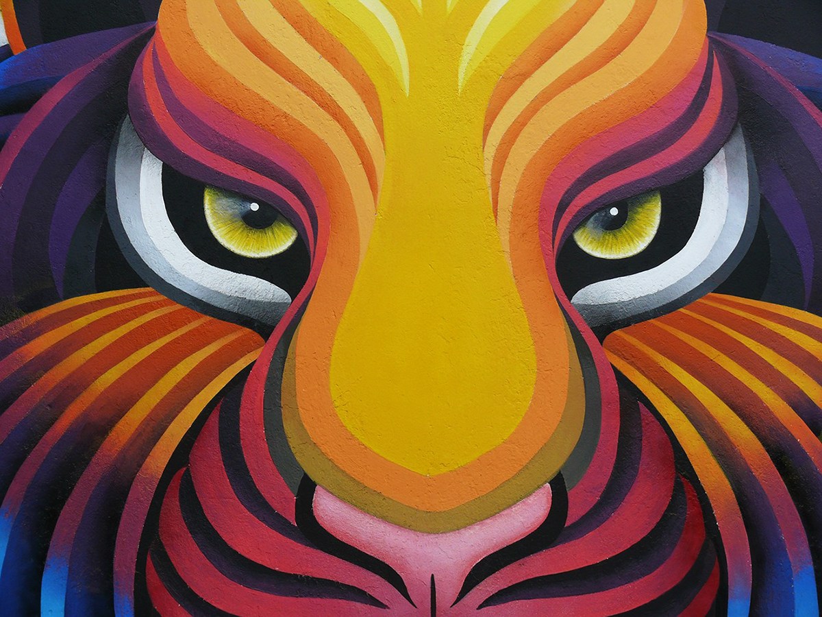 Detail The Tiger Graffiti Nomer 39