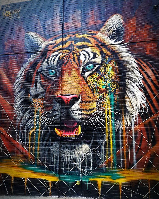 Detail The Tiger Graffiti Nomer 44