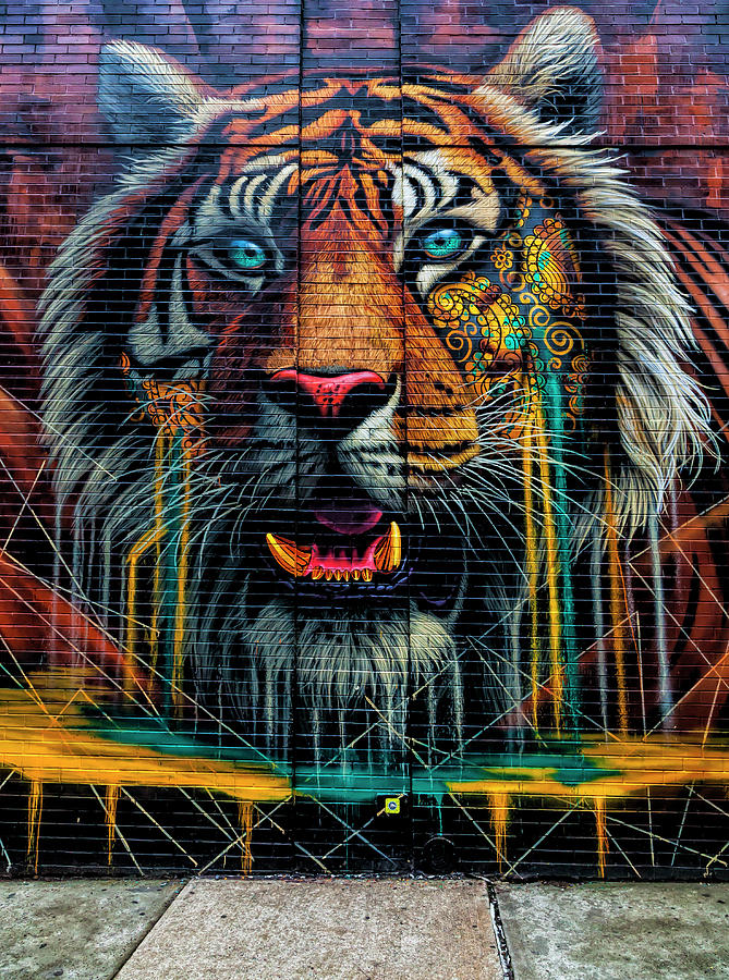 Detail The Tiger Graffiti Nomer 8