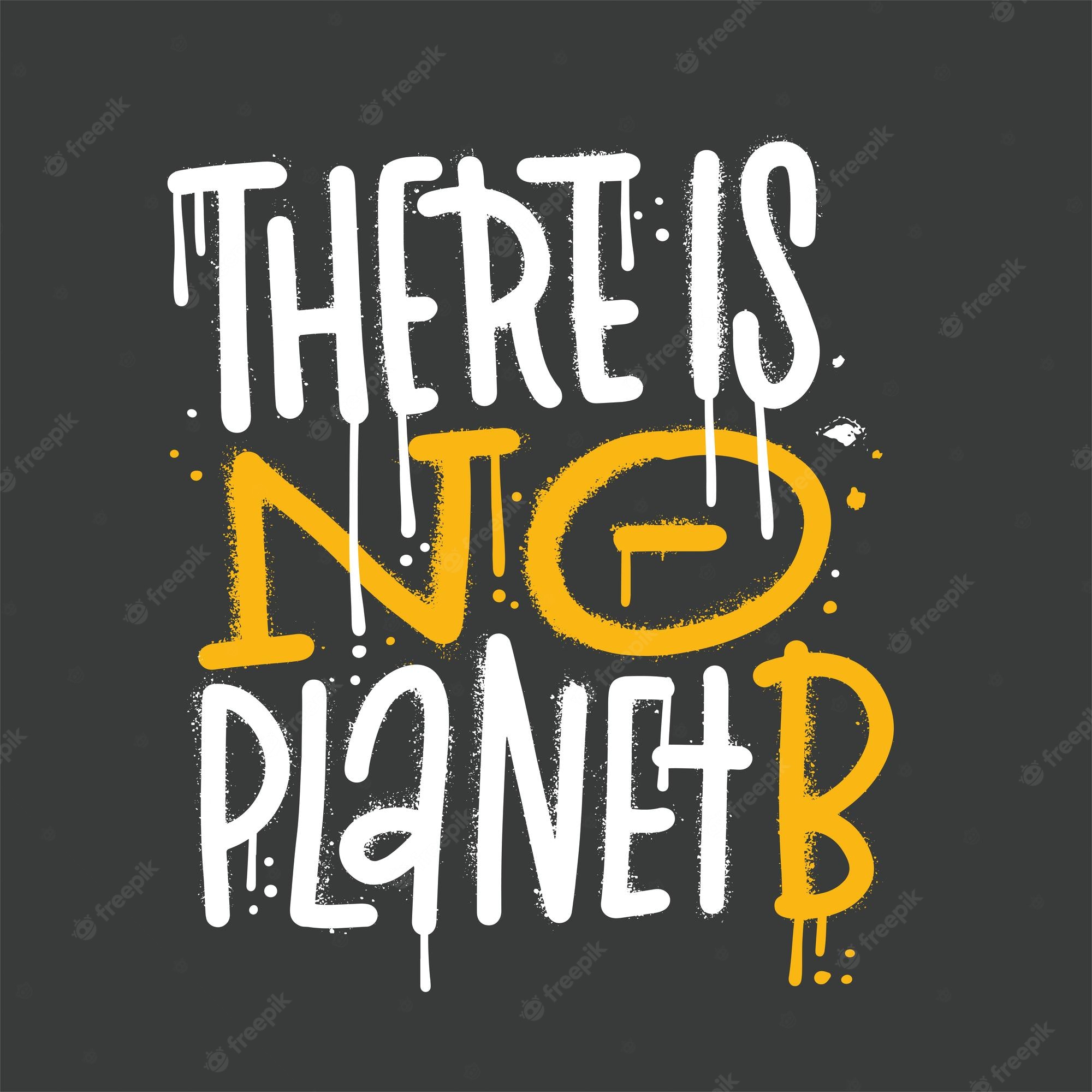 Detail There Is No Planet B Graffiti Nomer 22