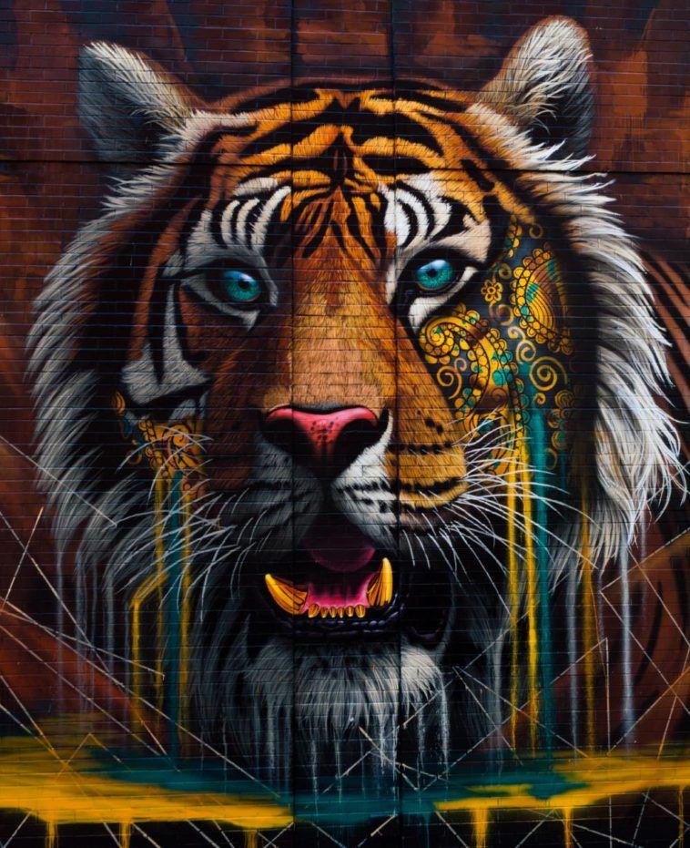 Detail Tiger Graffiti Art Nomer 2