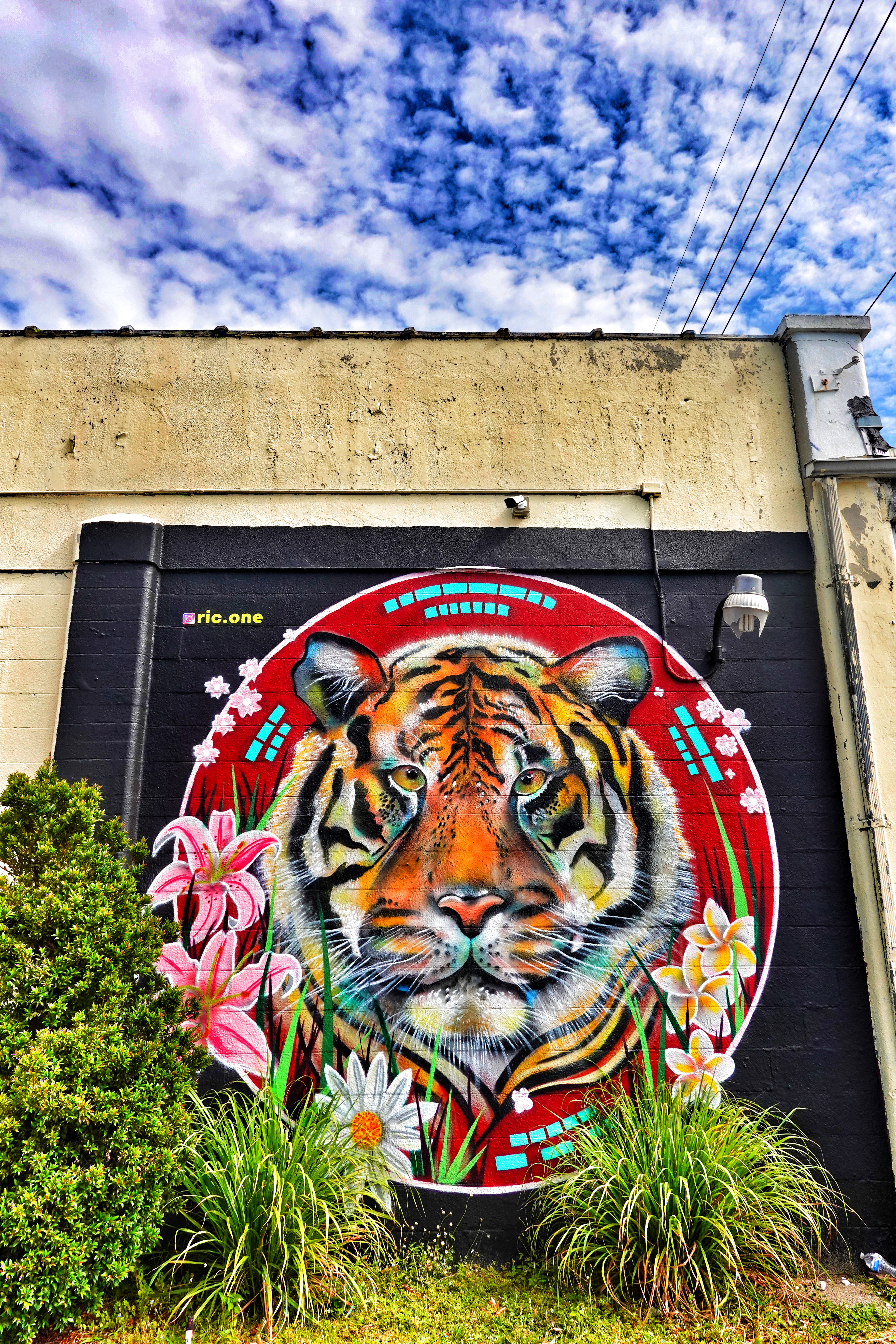 Detail Tiger Graffiti Art Nomer 25