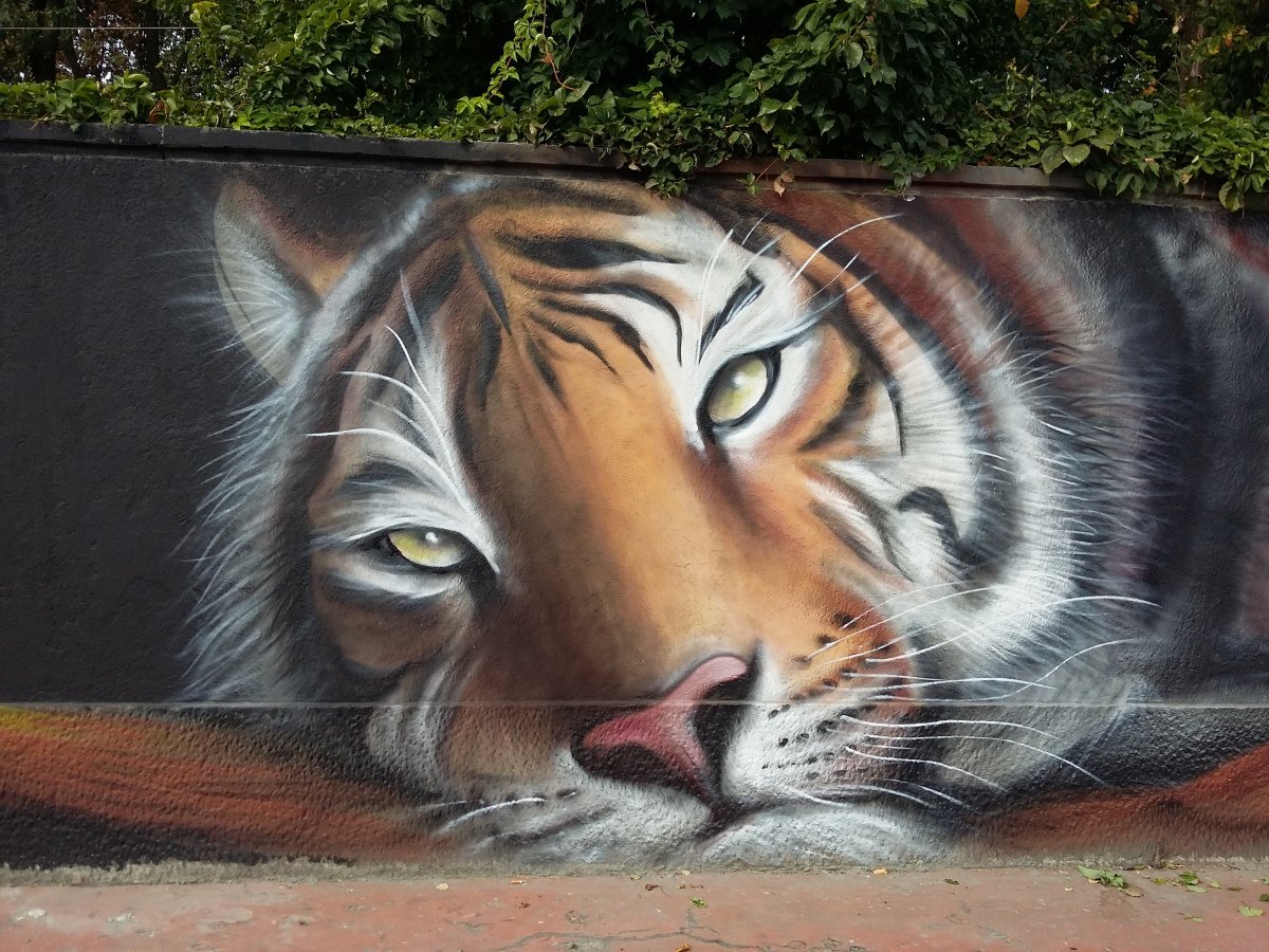 Detail Tiger Graffiti Art Nomer 36