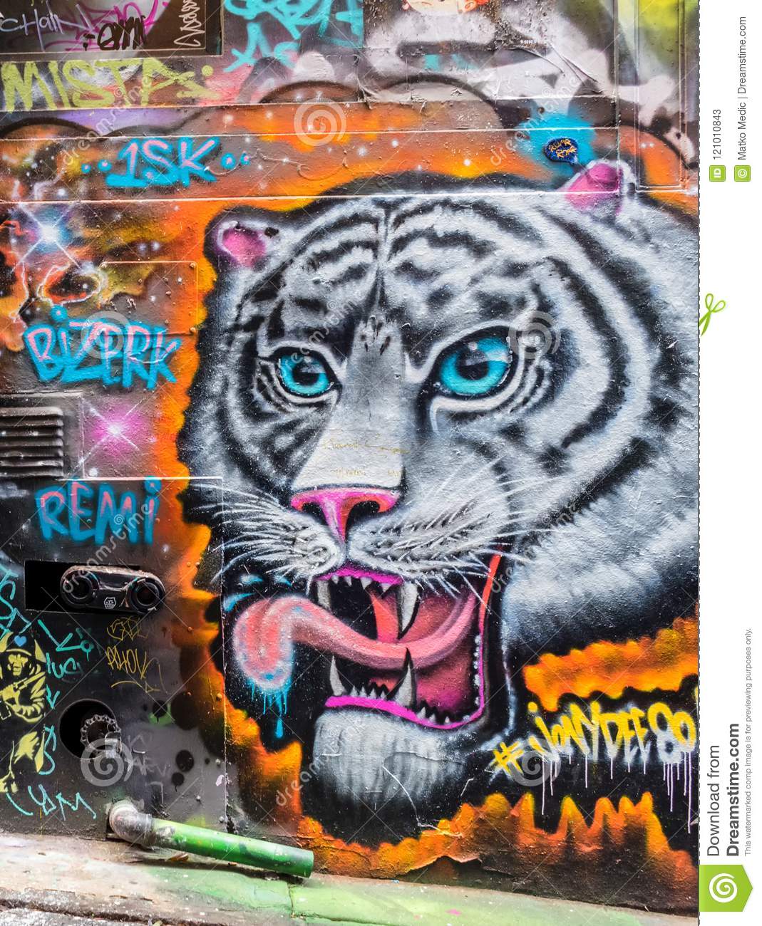 Detail Tiger Graffiti Art Nomer 6