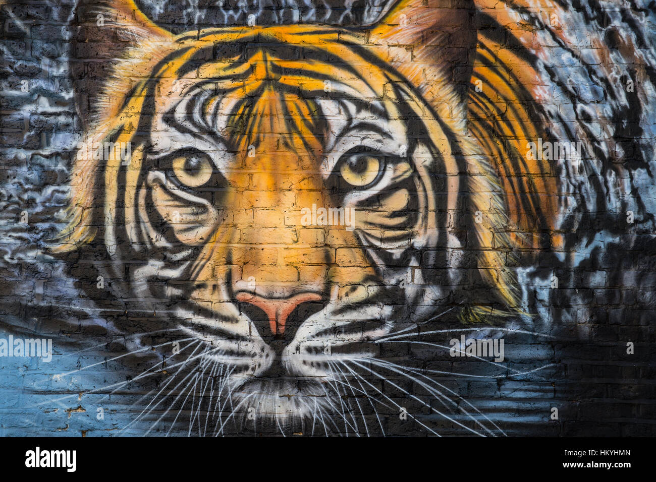 Detail Tiger Graffiti Art Nomer 10