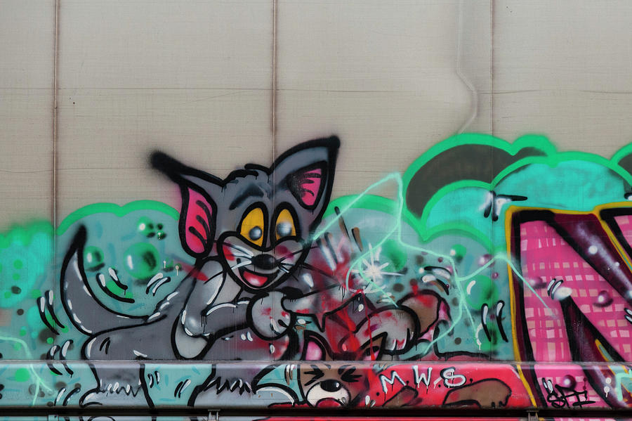 Detail Tom Jerry Graffiti Nomer 13