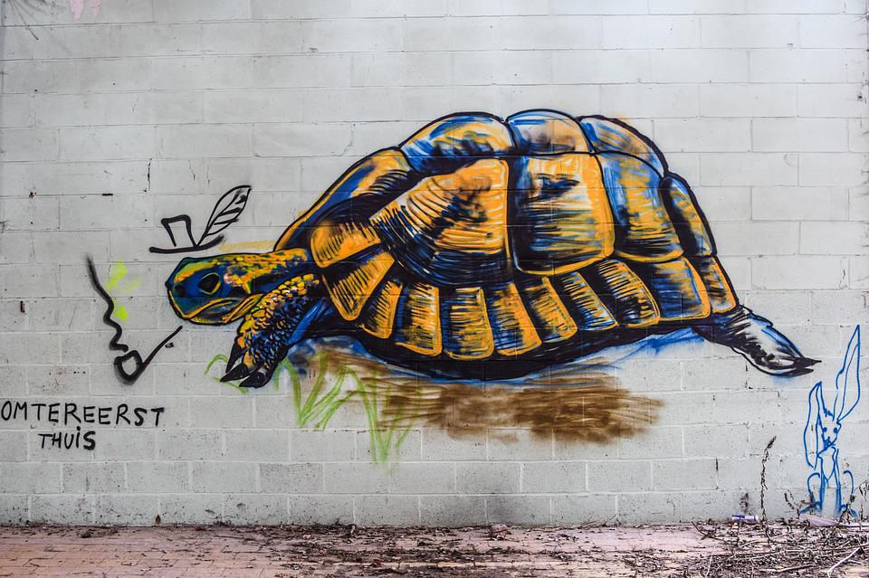 Detail Turtle Graffiti Nomer 2