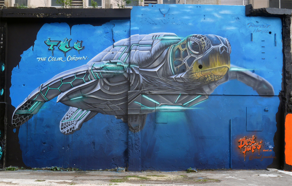 Detail Turtle Graffiti Nomer 12