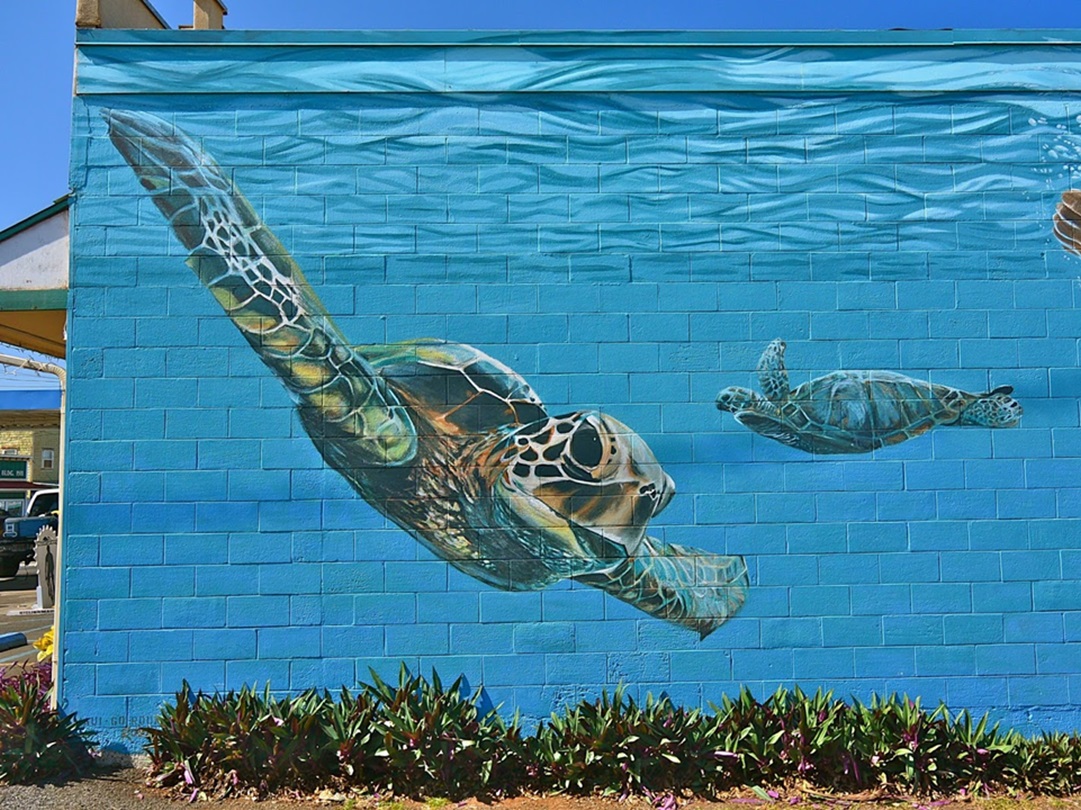 Detail Turtle Graffiti Nomer 21