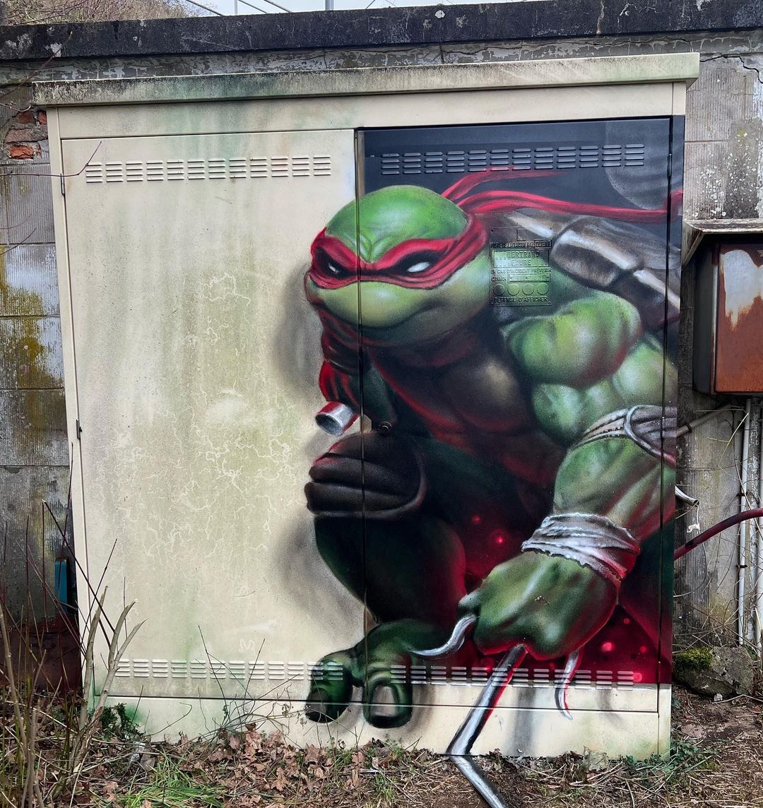 Detail Turtle Graffiti Nomer 26