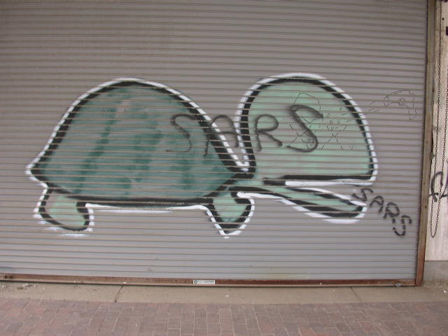 Detail Turtle Graffiti Nomer 40