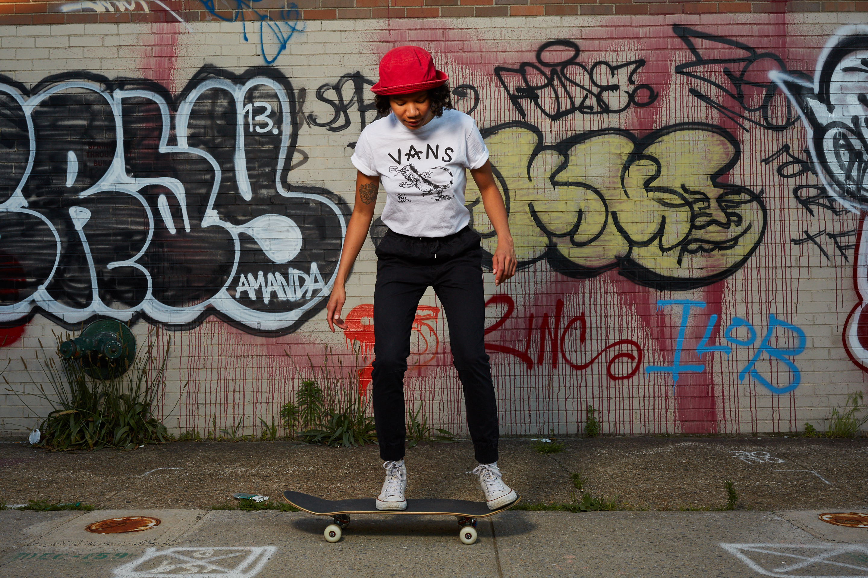 Detail Vans Graffiti Skateboard Keren Nomer 40