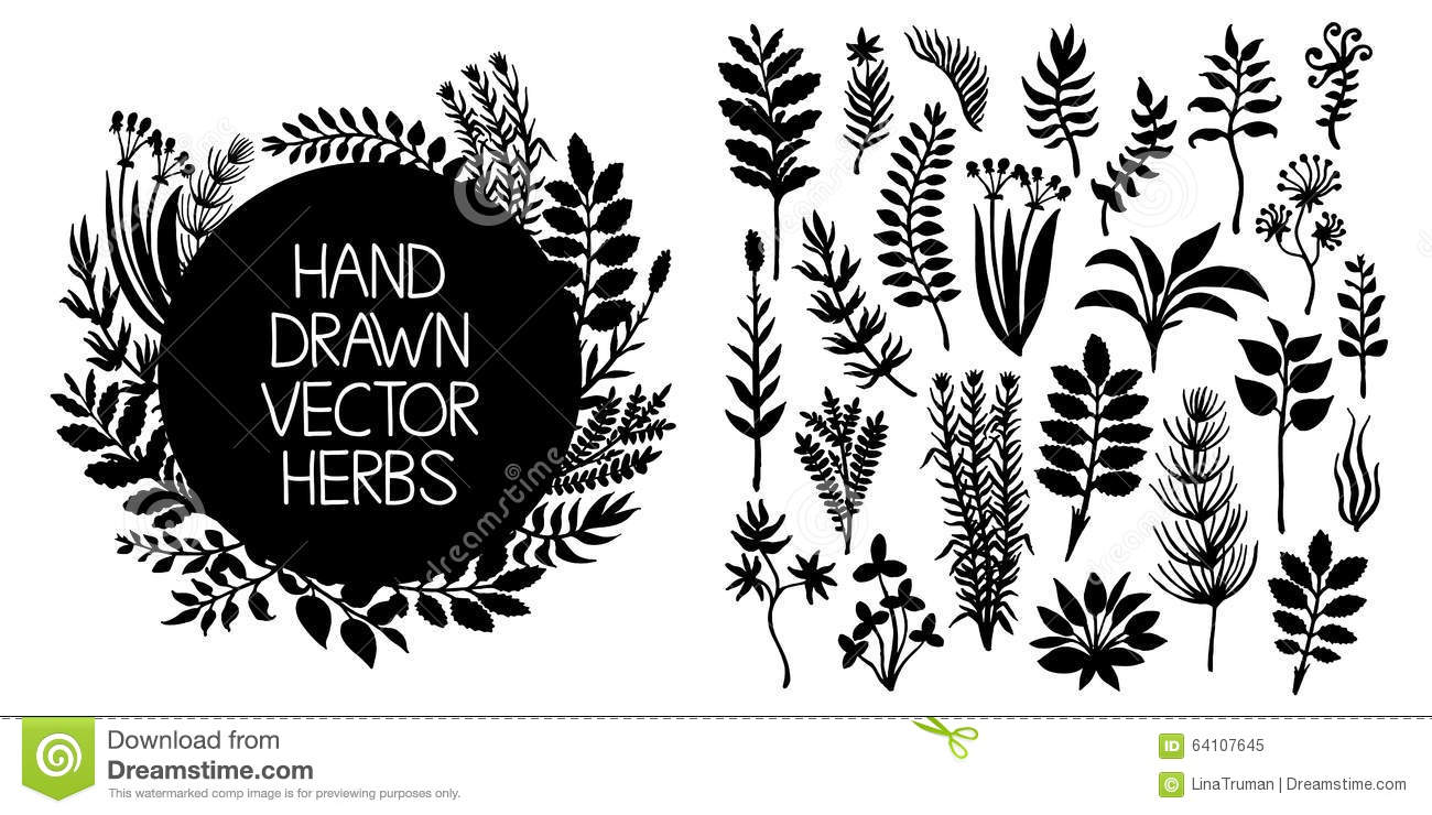 Detail Vector Graffiti Herbal Nomer 52