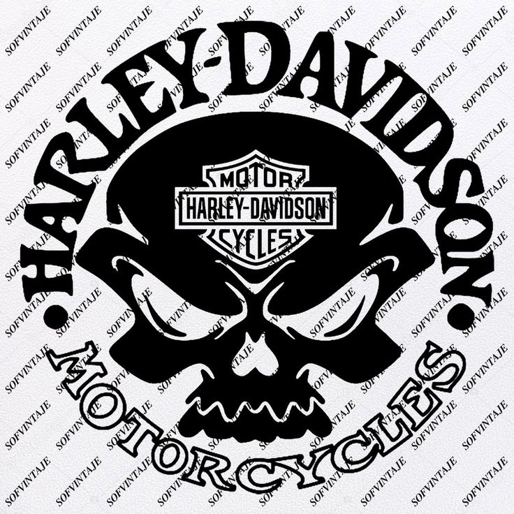 Detail Vector Harley Davidson Graffiti Nomer 2