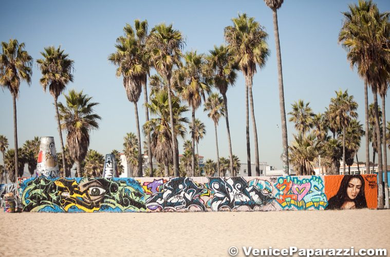 Detail Venice Beach Graffiti Wall Nomer 17