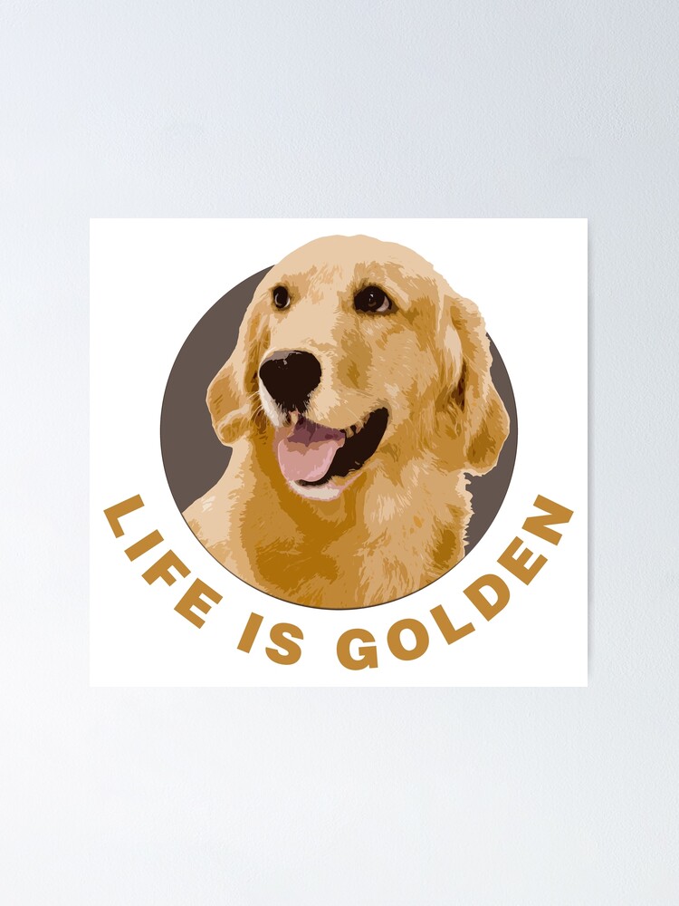 Detail Golden Retriever Car Magnet Nomer 46