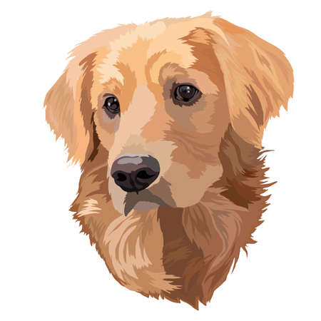 Detail Golden Retriever Clip Art Free Nomer 3