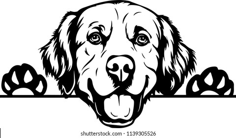 Detail Golden Retriever Clip Art Free Nomer 31