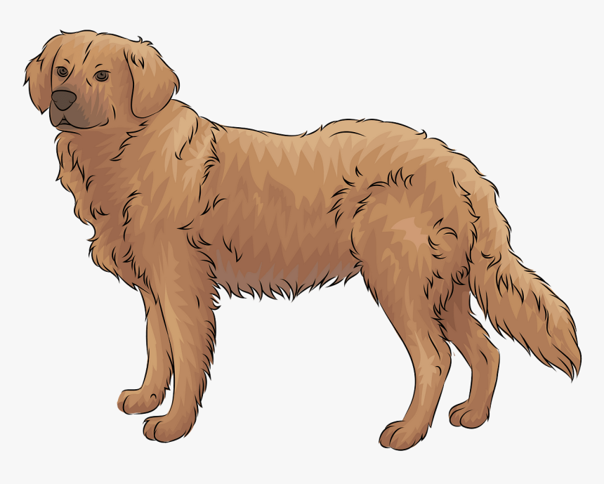 Detail Golden Retriever Clip Art Free Nomer 35