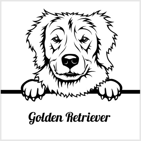 Detail Golden Retriever Clip Art Free Nomer 36