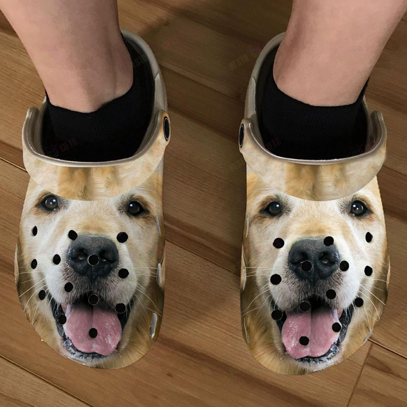Detail Golden Retriever Crocs Nomer 2
