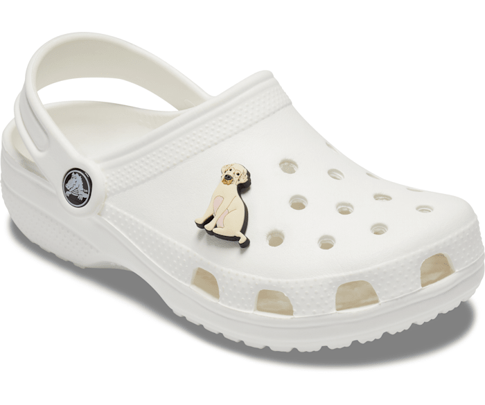 Detail Golden Retriever Crocs Nomer 15