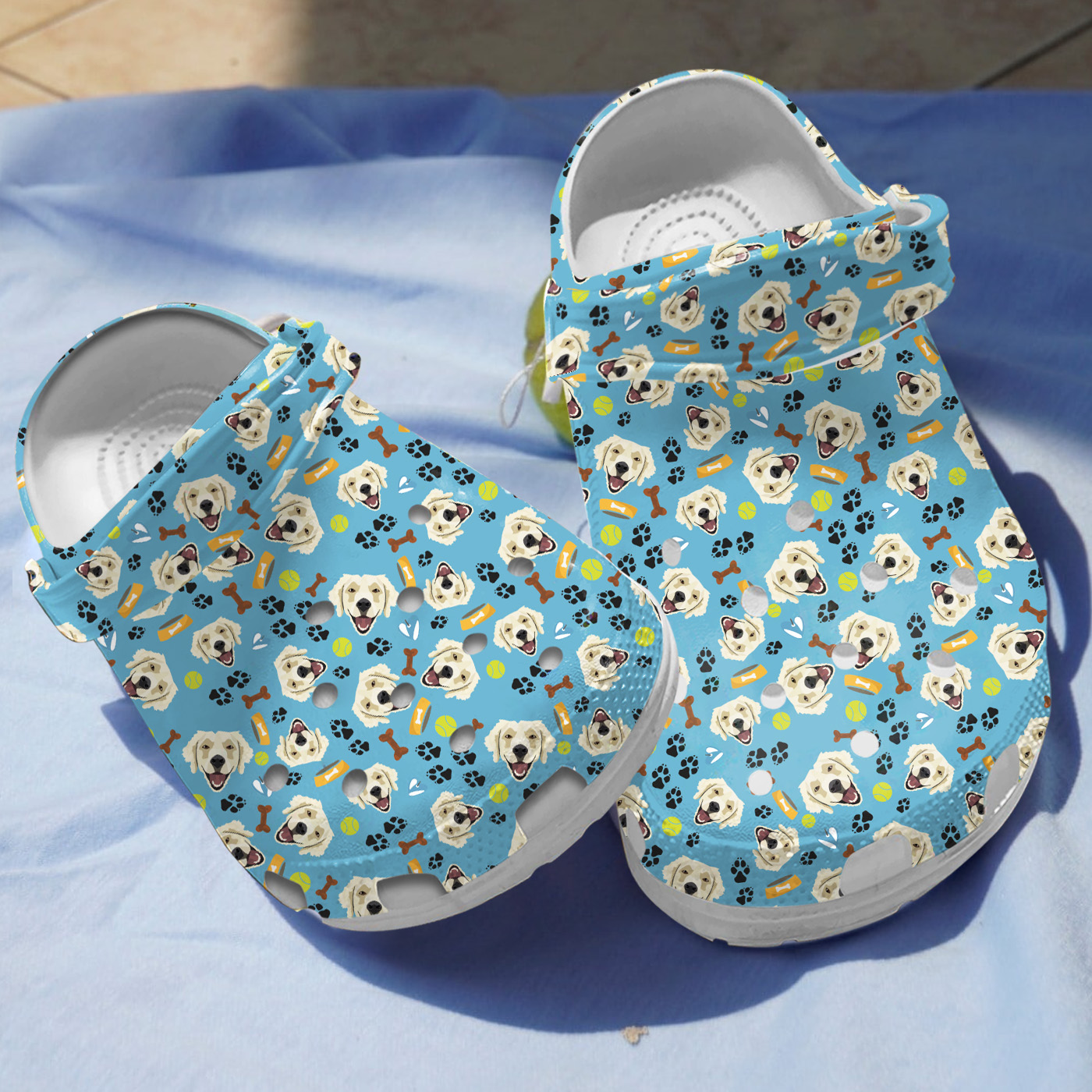 Detail Golden Retriever Crocs Nomer 20