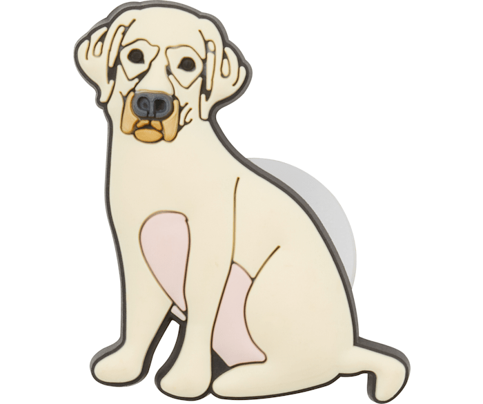 Detail Golden Retriever Crocs Nomer 33