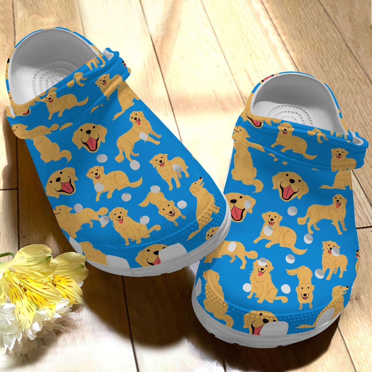 Detail Golden Retriever Crocs Nomer 35