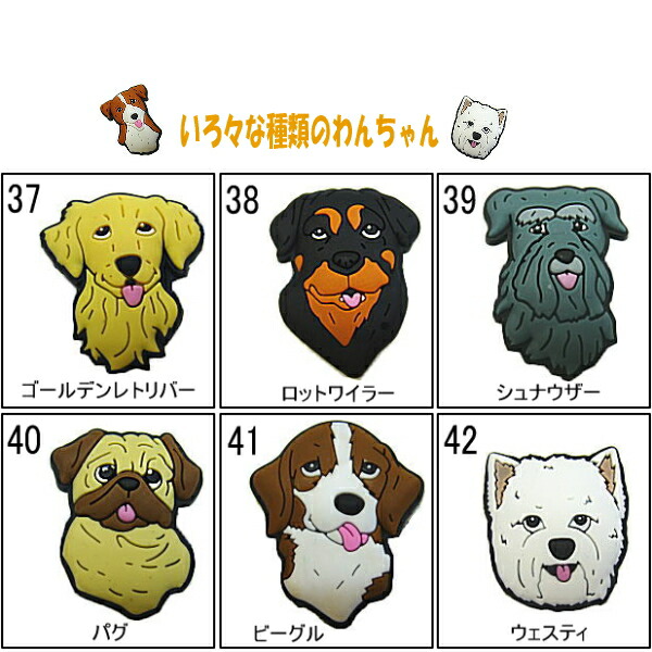 Detail Golden Retriever Crocs Nomer 36