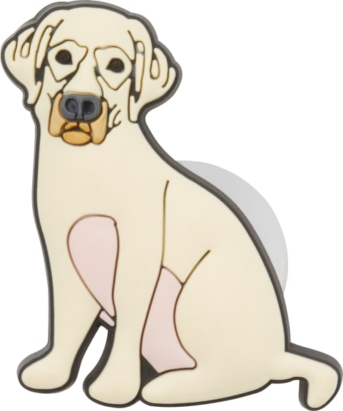 Detail Golden Retriever Crocs Nomer 57