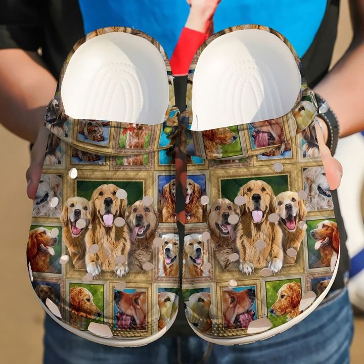 Detail Golden Retriever Crocs Nomer 9