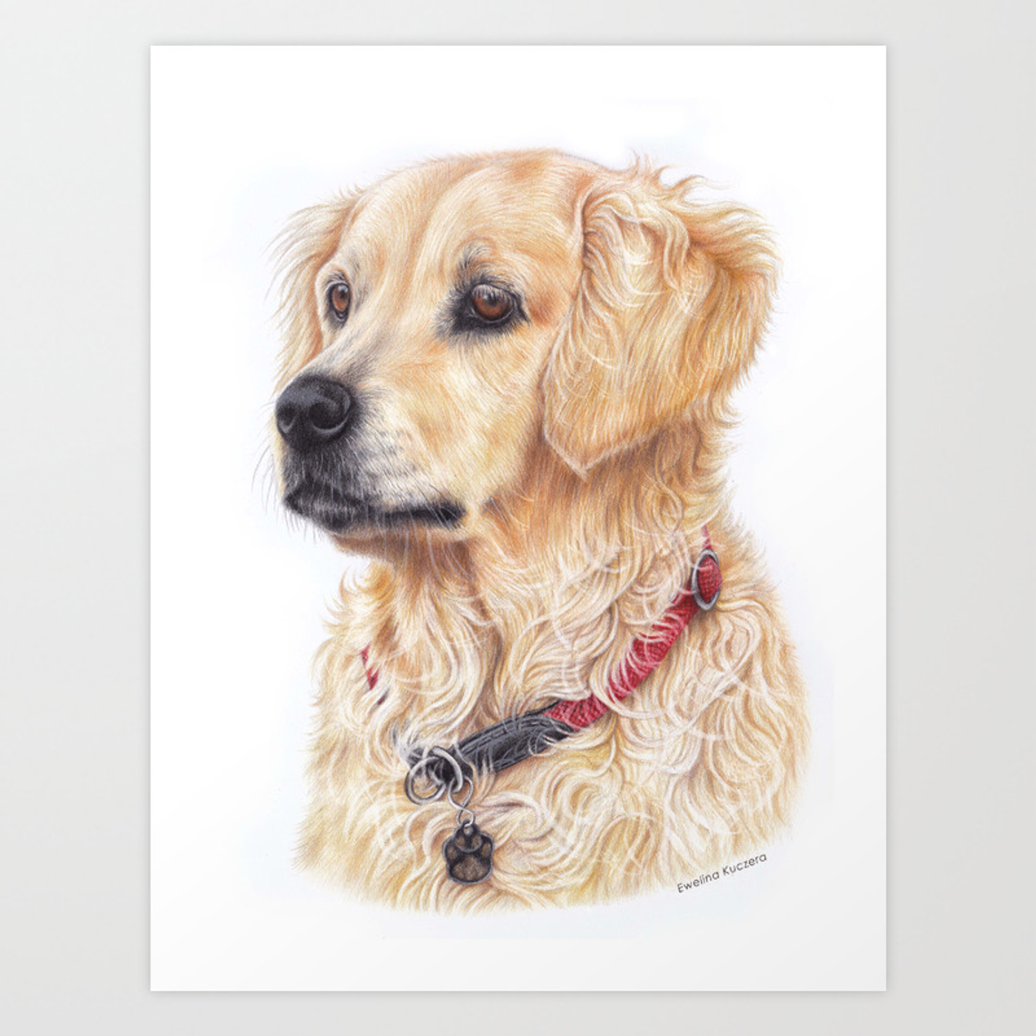 Detail Golden Retriever Drawing Pencil Nomer 12