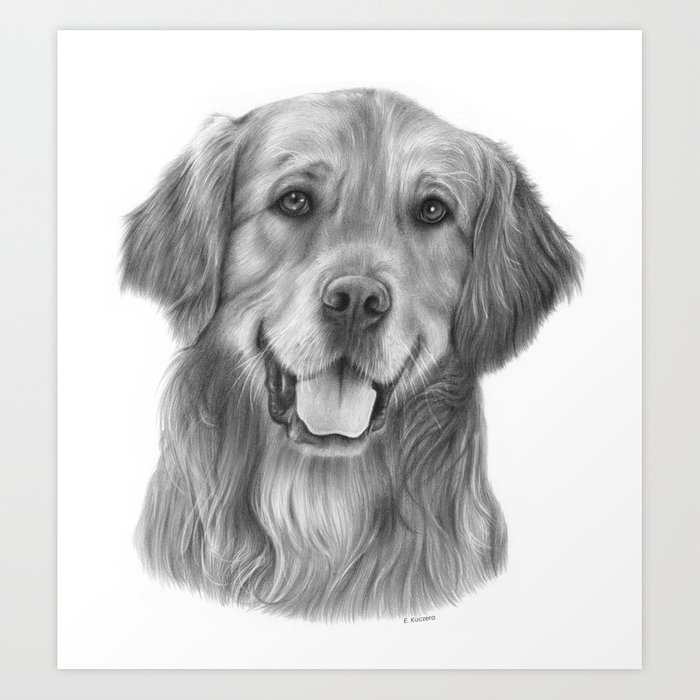 Detail Golden Retriever Drawing Pencil Nomer 3