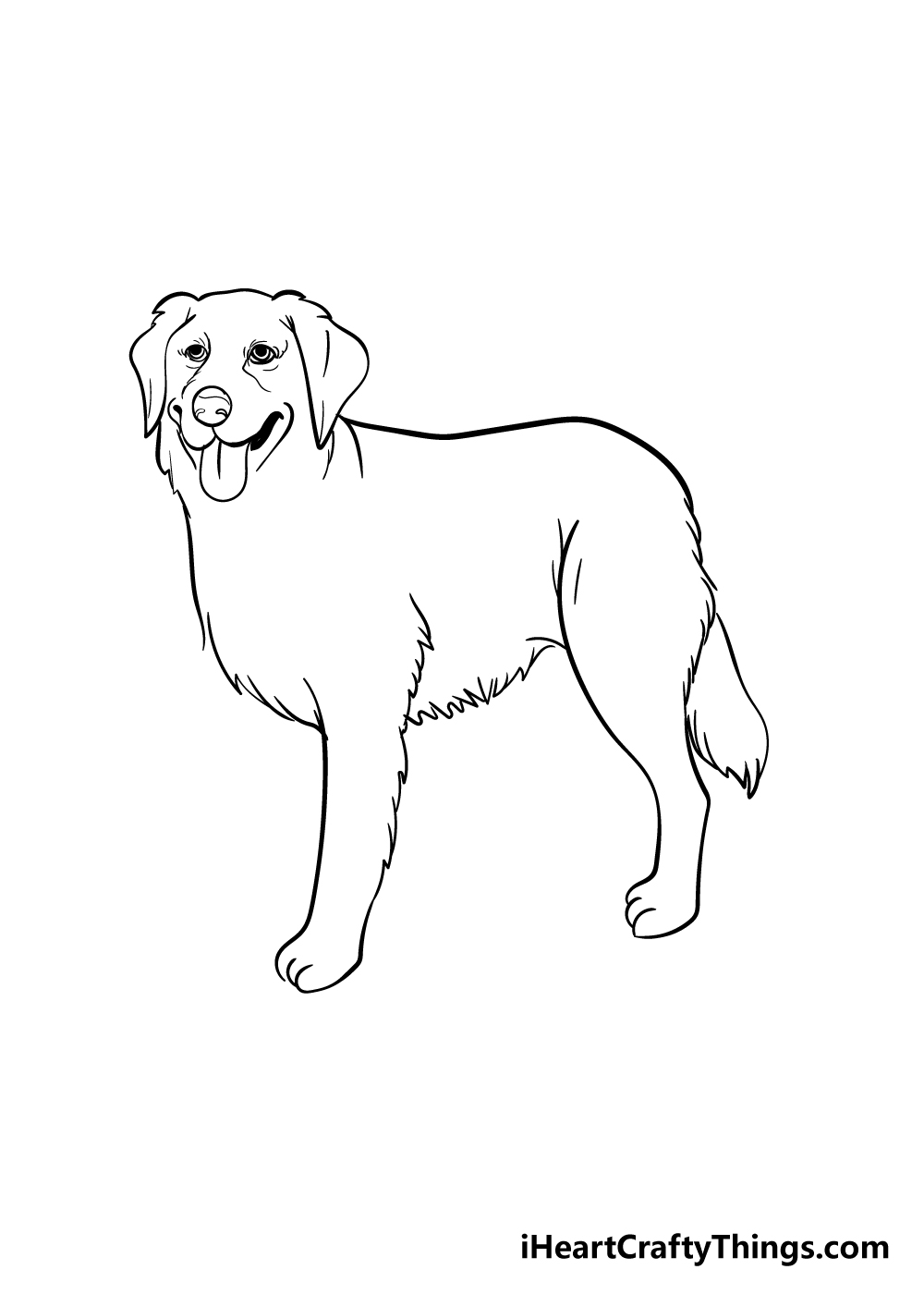 Detail Golden Retriever Drawing Pencil Nomer 35