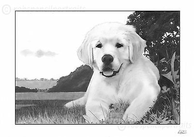 Detail Golden Retriever Drawing Pencil Nomer 51