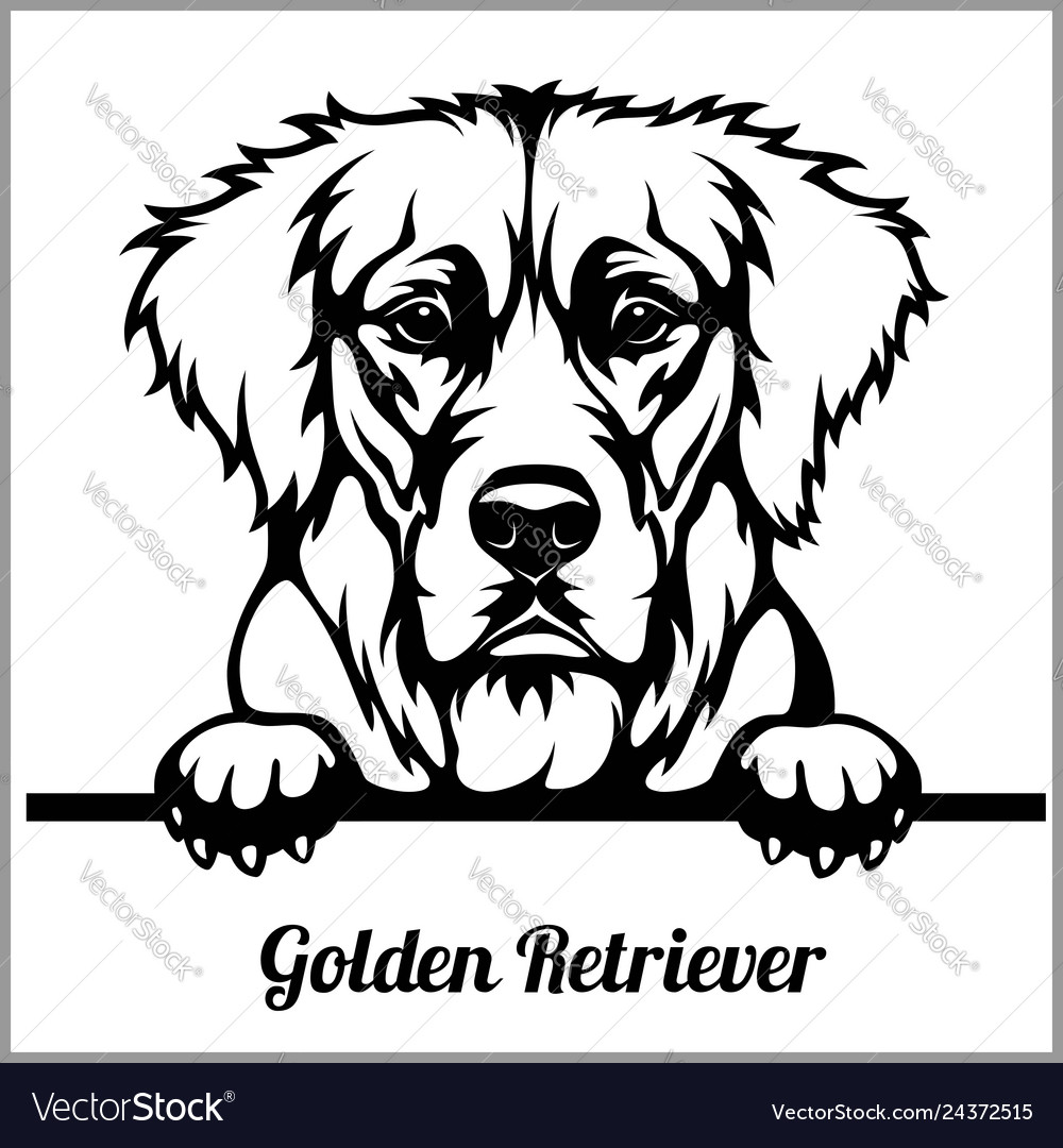 Detail Golden Retriever Face Silhouette Nomer 17