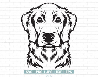 Detail Golden Retriever Face Silhouette Nomer 20