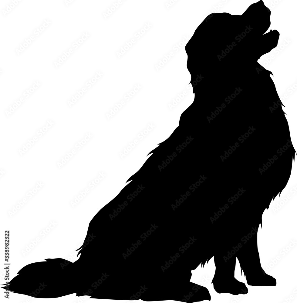 Detail Golden Retriever Face Silhouette Nomer 41