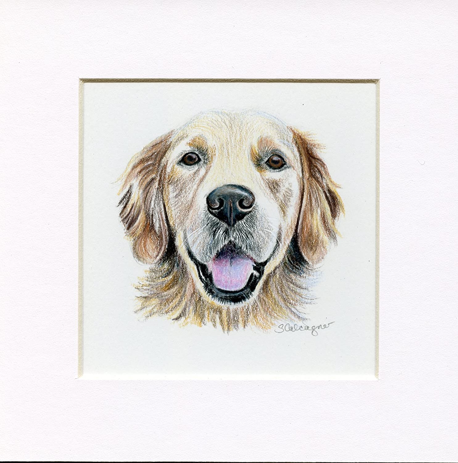 Detail Golden Retriever Pencil Drawing Nomer 11