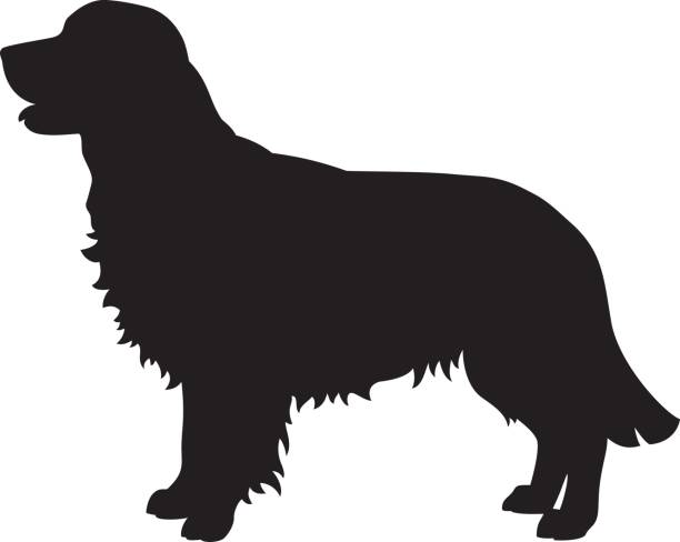 Golden Retriever Silhouette Clip Art - KibrisPDR