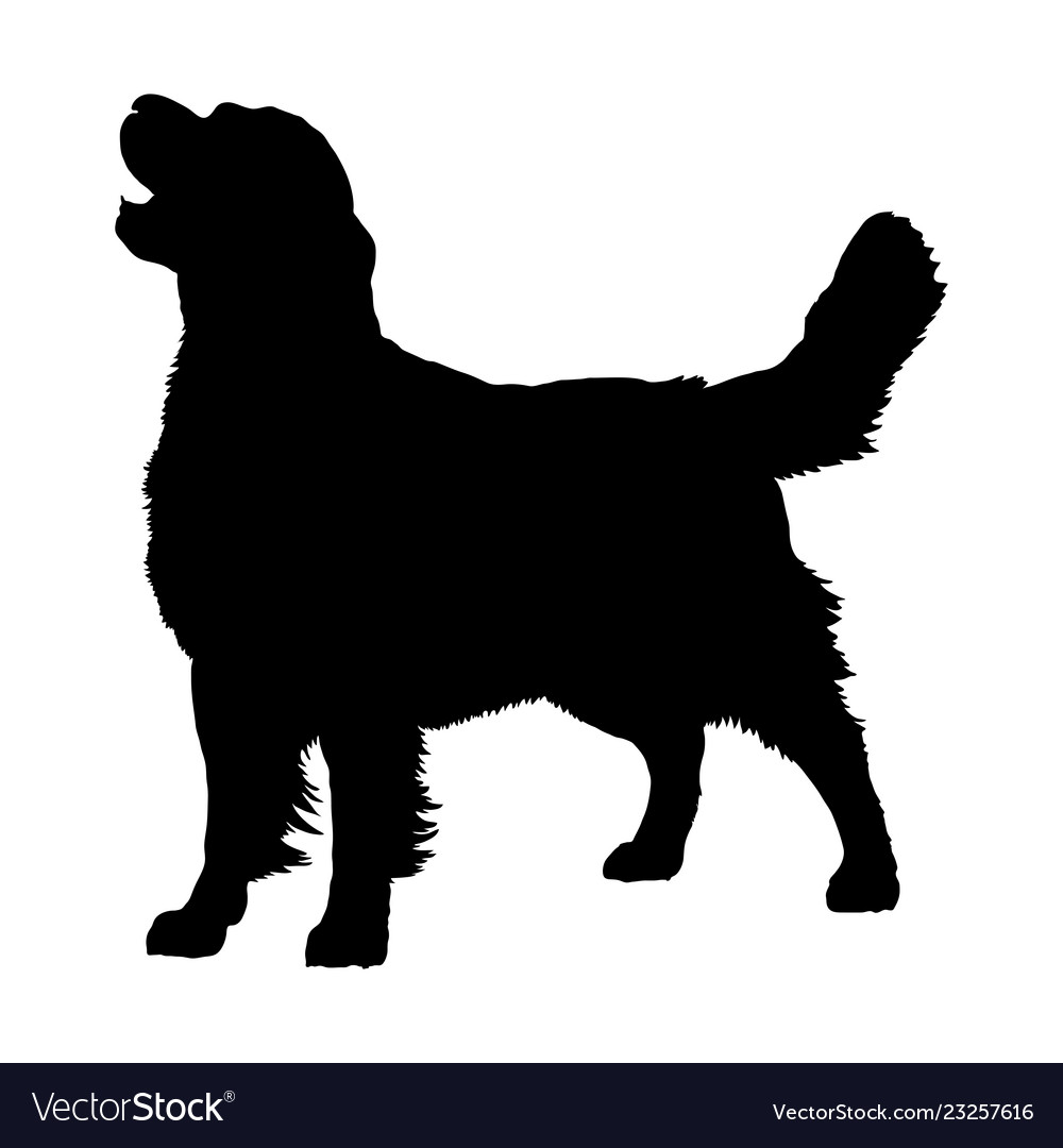 Detail Golden Retriever Silhouette Clip Art Nomer 2