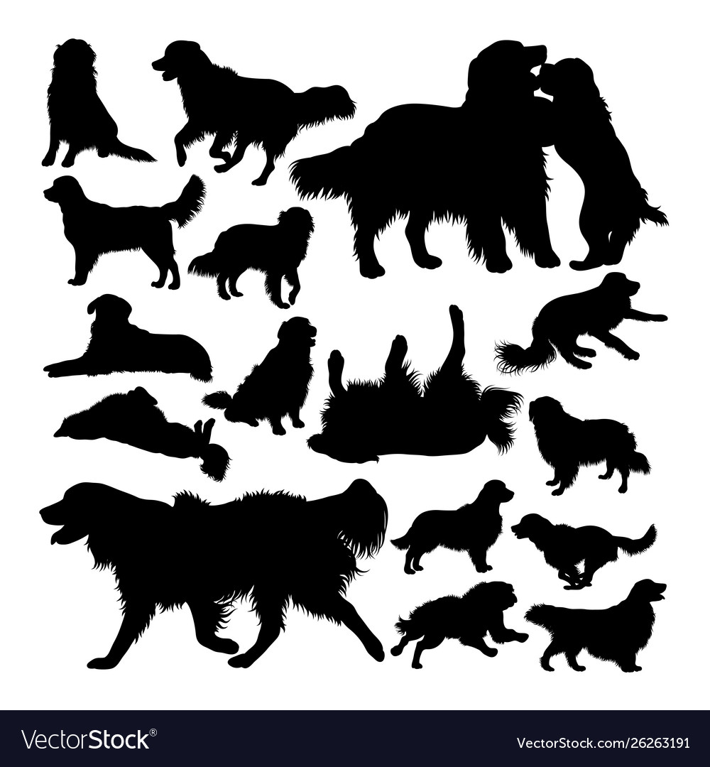 Detail Golden Retriever Silhouette Clip Art Nomer 28