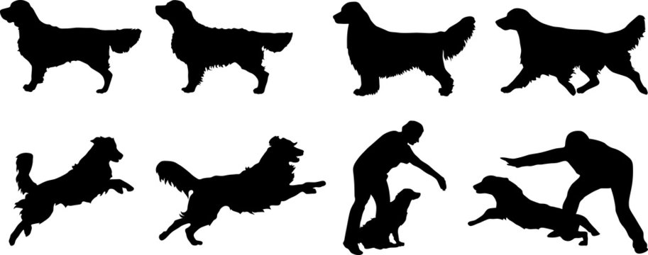 Detail Golden Retriever Silhouette Clip Art Nomer 37