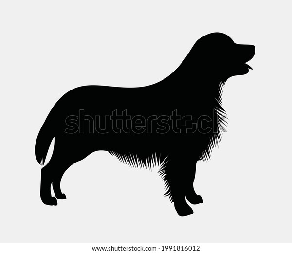 Detail Golden Retriever Silhouette Clip Art Nomer 52