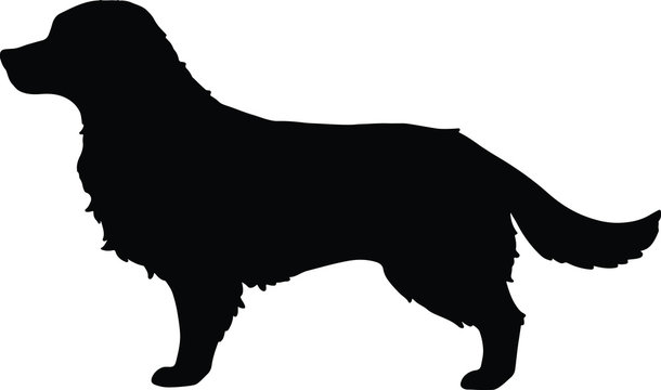 Detail Golden Retriever Silhouette Clip Art Nomer 8