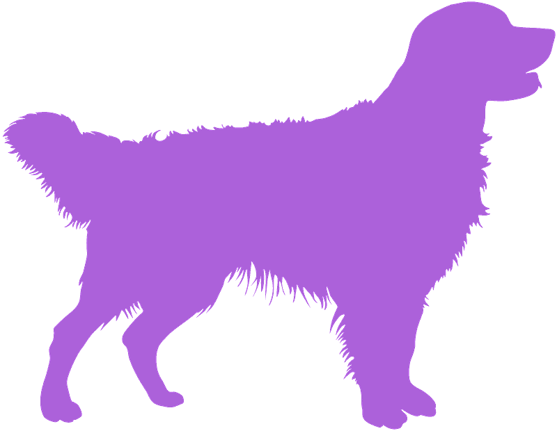 Detail Golden Retriever Silhouette Png Nomer 24