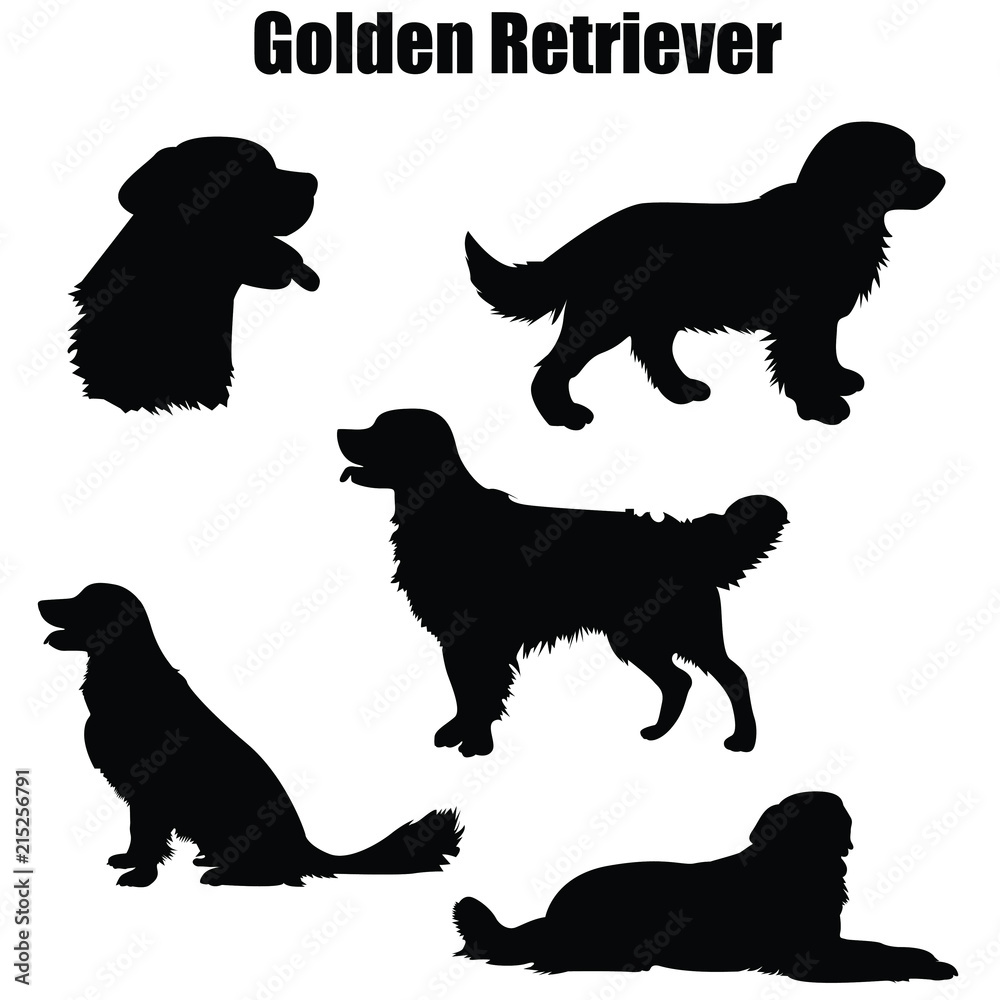 Detail Golden Retriever Silhouette Vector Nomer 22